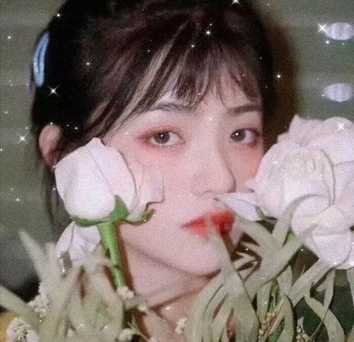 真情母子 封面